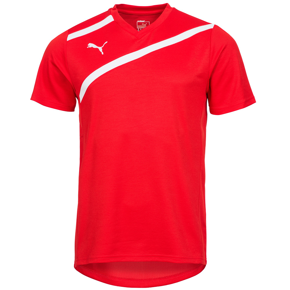 PUMA-Herren-Trikot-Fussball-Sport-Teamwear-Shirt-Jersey-XS-S-M-L-XL-2XL-3XL-neu