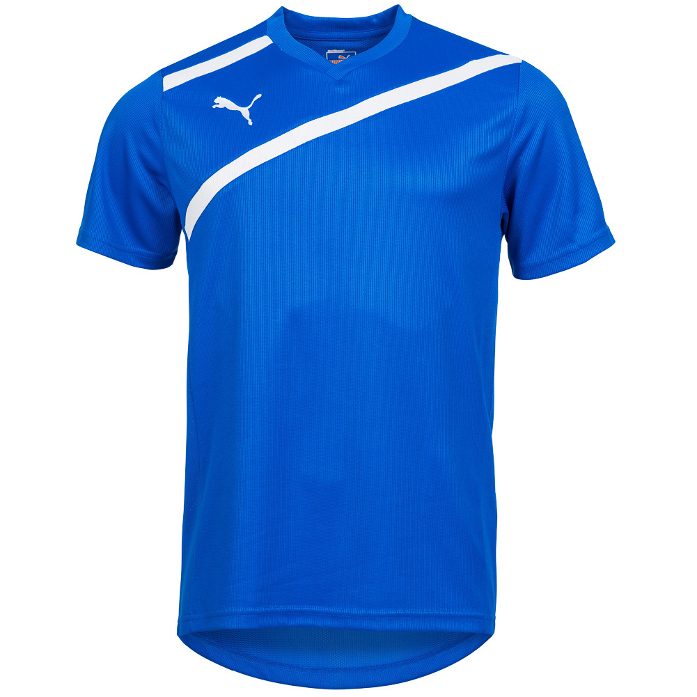 PUMA-Herren-Trikot-Fussball-Sport-Teamwear-Shirt-Jersey-XS-S-M-L-XL-2XL-3XL-neu