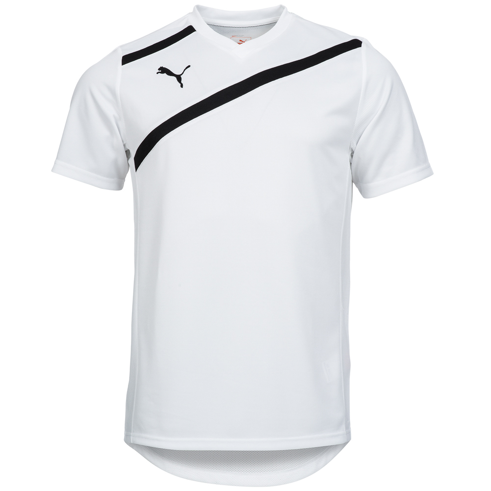 PUMA-Herren-Trikot-Fussball-Sport-Teamwear-Shirt-Jersey-XS-S-M-L-XL-2XL-3XL-neu