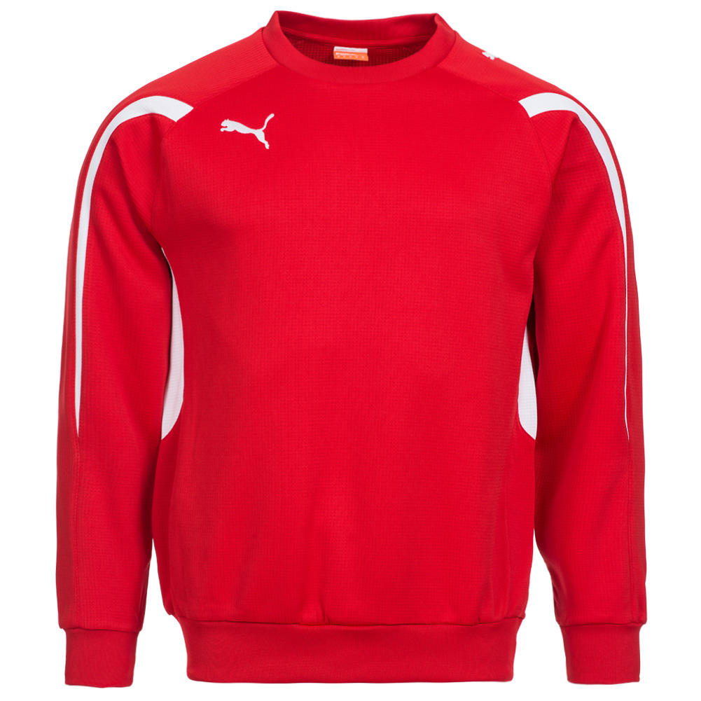 puma sweatshirt
