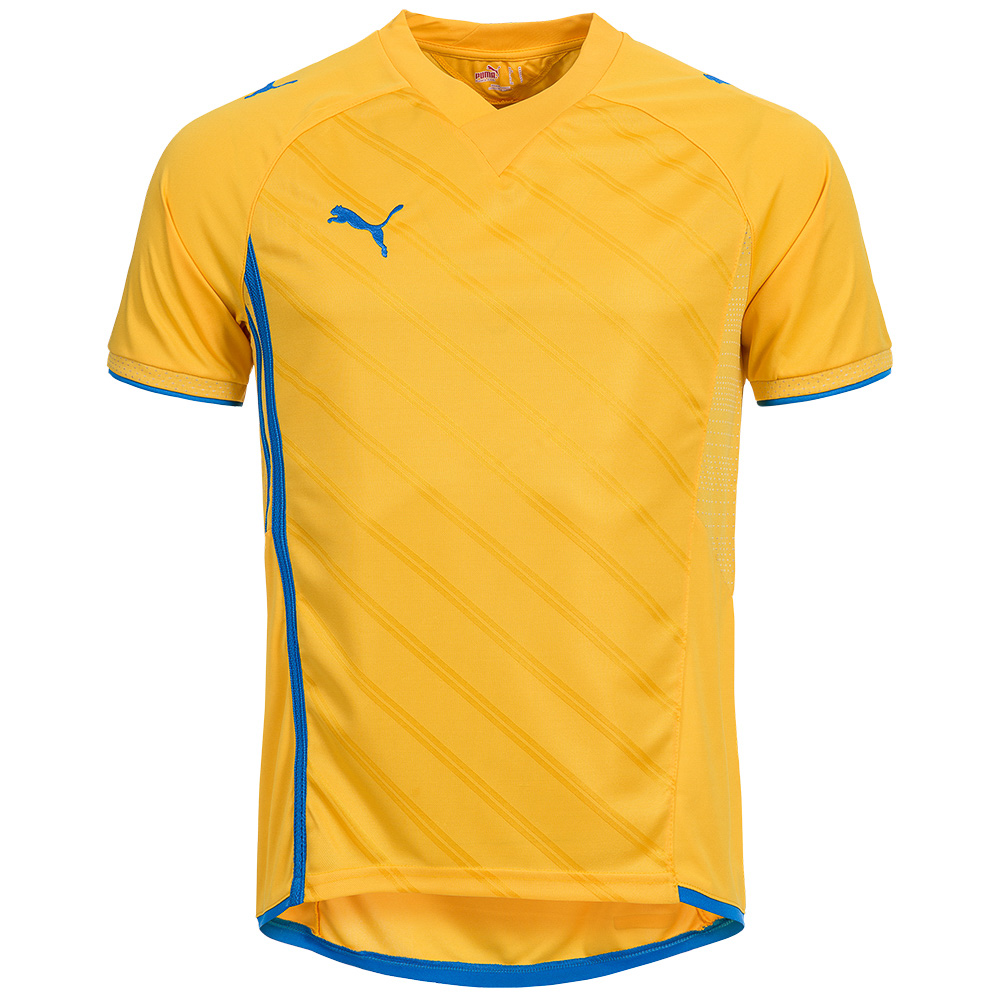 PUMA-Herren-Trikot-Fussball-Sport-Teamwear-Shirt-Jersey-XS-S-M-L-XL-2XL-3XL-neu