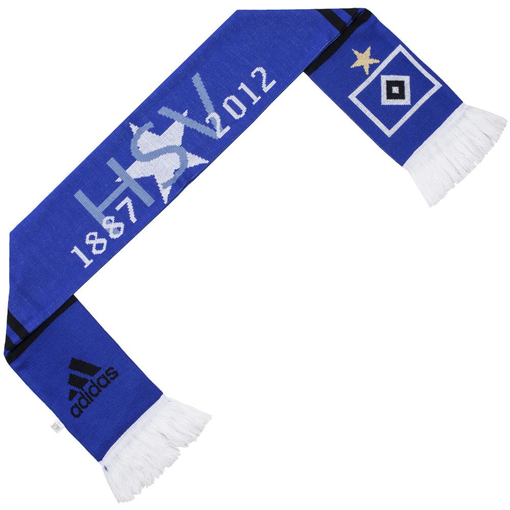 mma training program dvd mma gym kota kinabalu