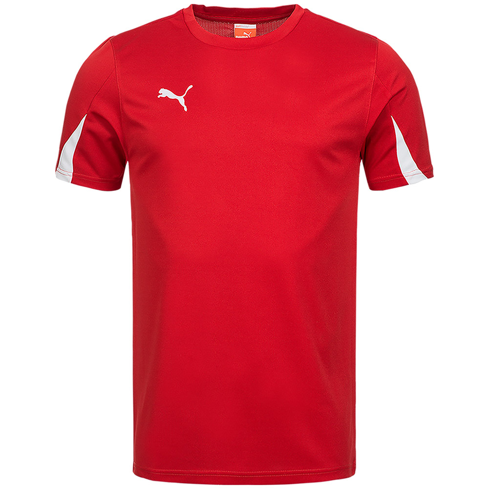 PUMA Team Herren Sport Trikot 701269 Teamwear Fussballtrikot Jersey S - 2XL neu | eBay
