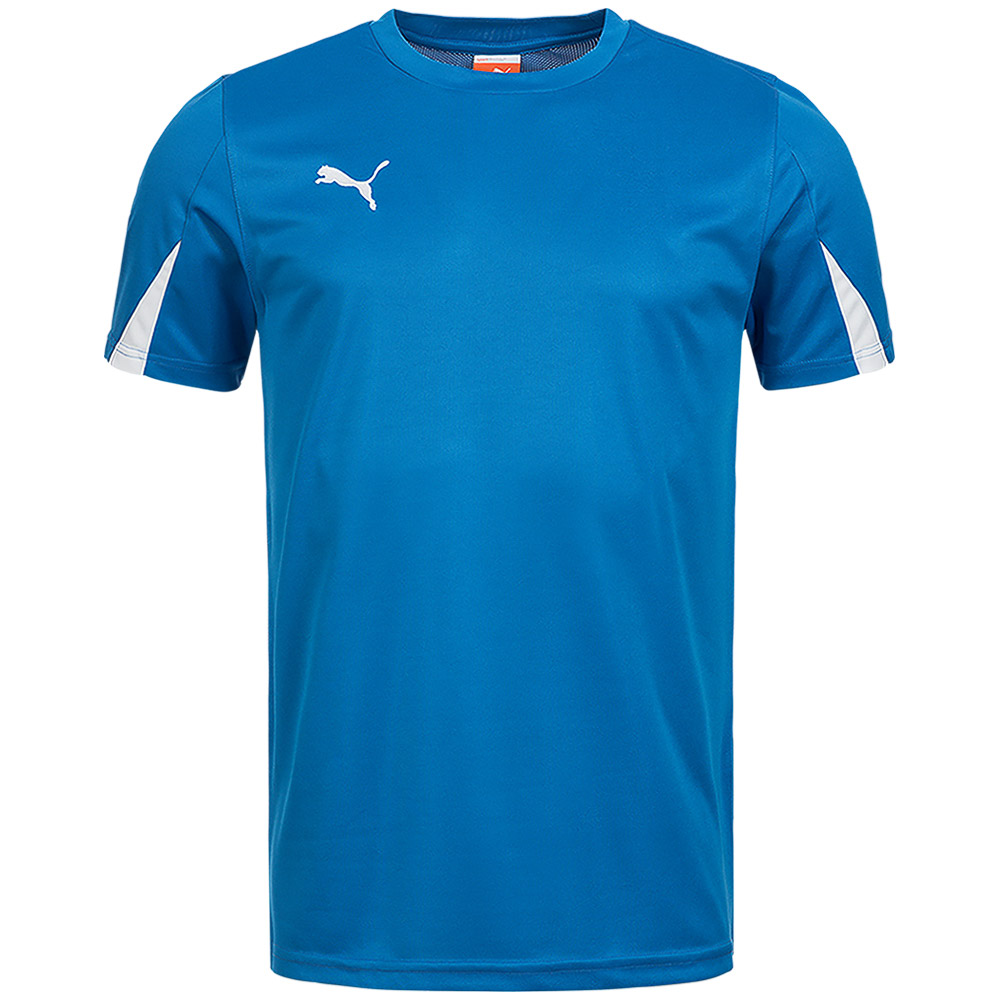 PUMA Herren Trikot Fussball Sport Teamwear Shirt Jersey XS S M L XL 2XL