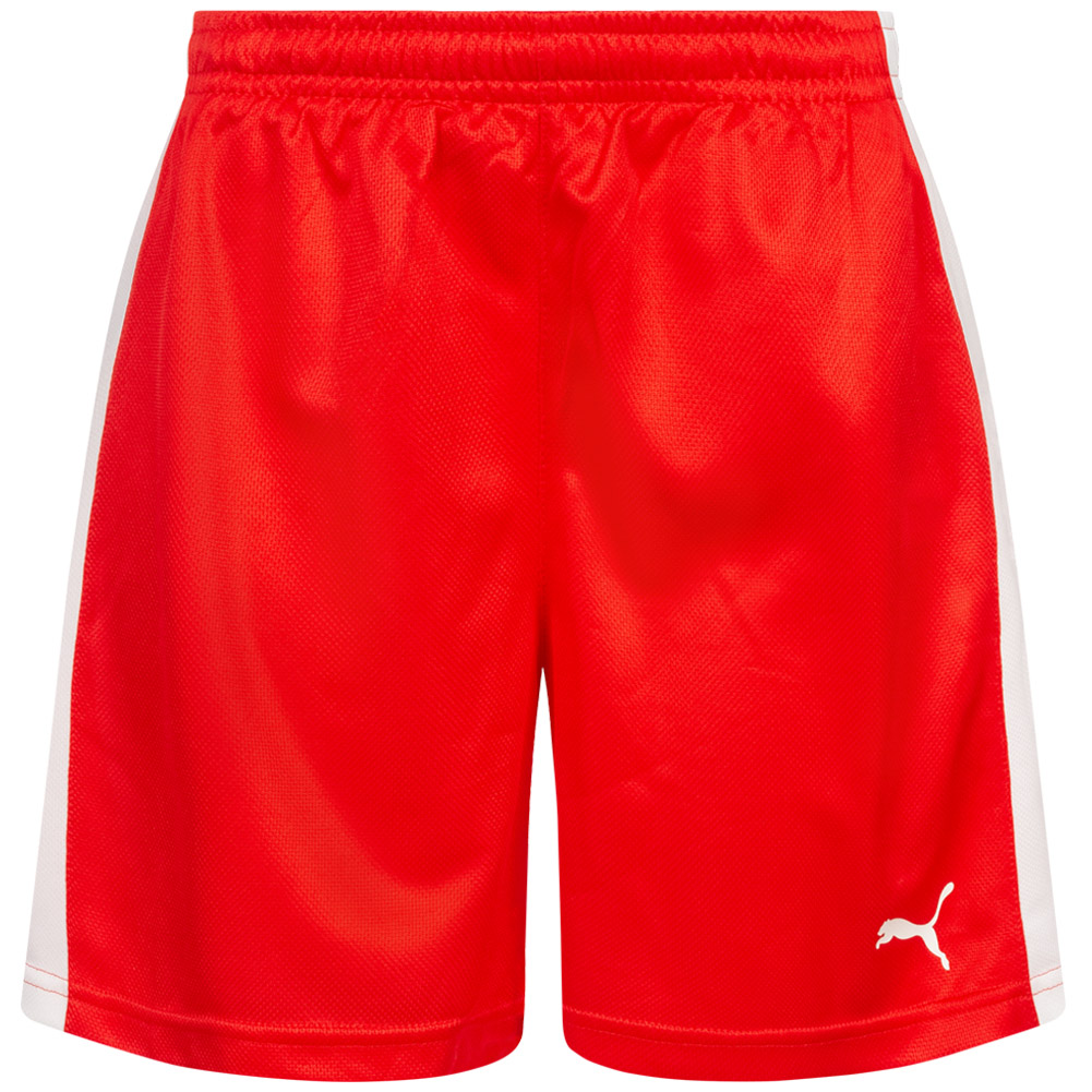 DHF Дания Женские брюки для гандбола Puma Спортивные тренировочные шорты Джерси Белый Красный Новый