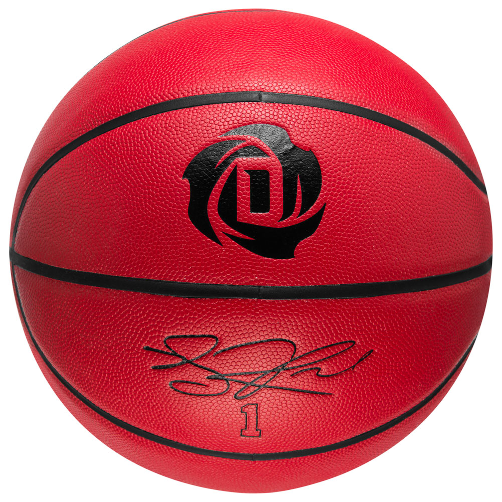 derrick rose basketball ball