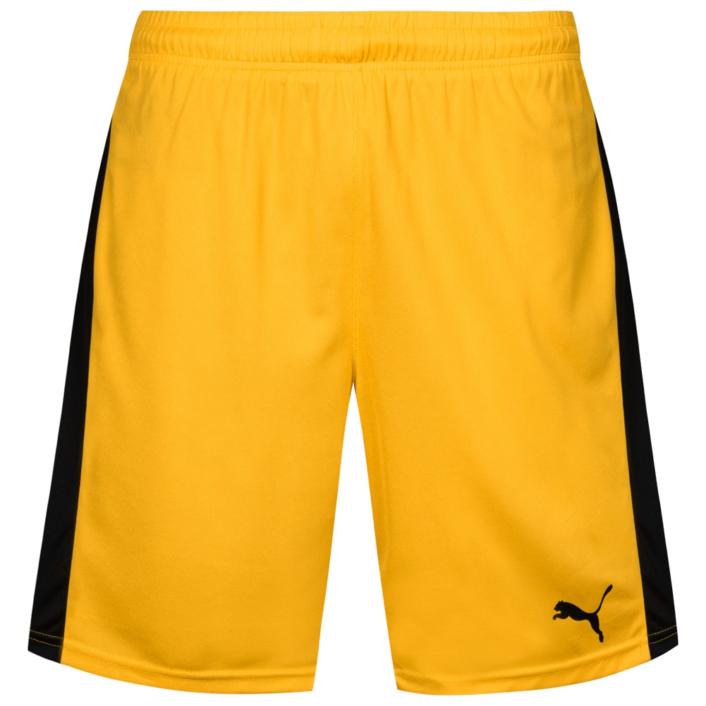 PUMA Pitch Sport Shorts mit Innenslip 702075-07