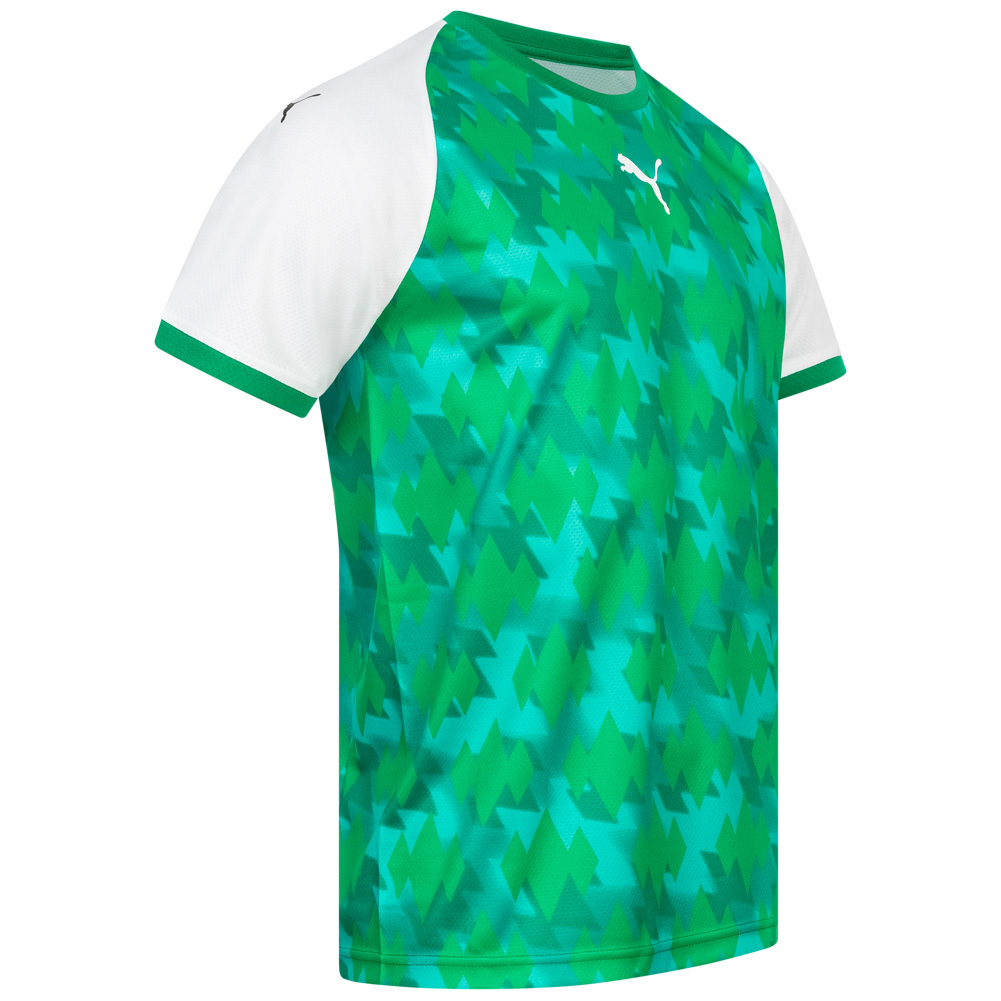 PUMA Herren Handball Trikot 76458201 sportrabat.pl