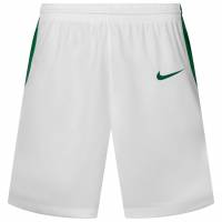 Nike Team Herren Basketball Shorts NT0201-104