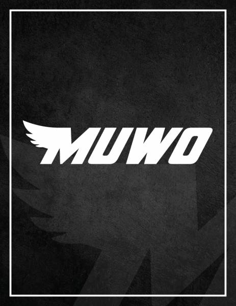 MUWO Balle de hockey sur gazon blanche