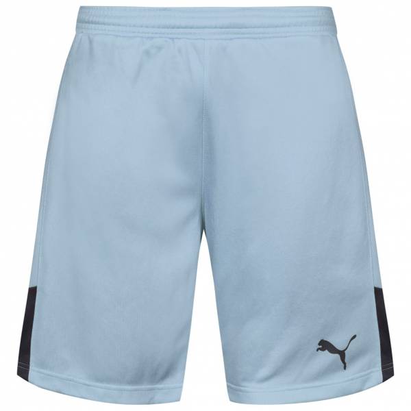 PUMA Stadium Herren Sport Shorts 702090-35