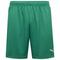 PUMA Vencida 2 Herren Trainings Shorts 700790-15