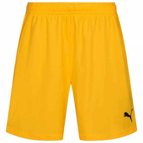 PUMA PowerCat 1.10 Sport Shorts 700873-07