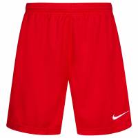 Nike Park Knit Unlined Niño Pantalones cortos deportivos 494839-649