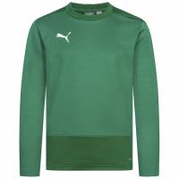 PUMA teamGOAL Kinder Training Sweatshirt 656568-05