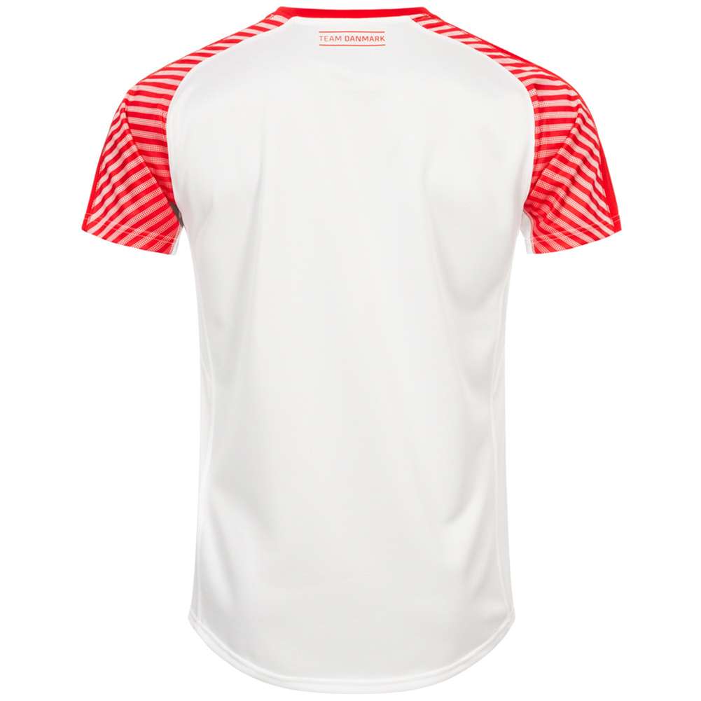 DHF Dänemark PUMA Herren Handball Trikot 75067512 SportSpar