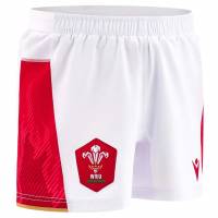 Wales WRU macron Rugby 6 Nations Men Short 60004609