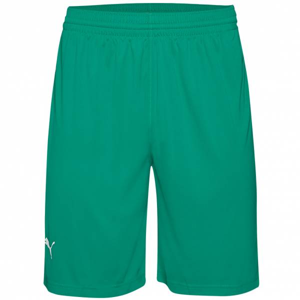 PUMA Herren Basketball Shorts 582459-04