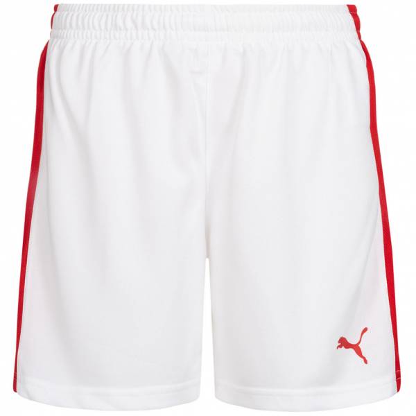 DHF Dänemark PUMA Herren Handball Shorts 750673-12