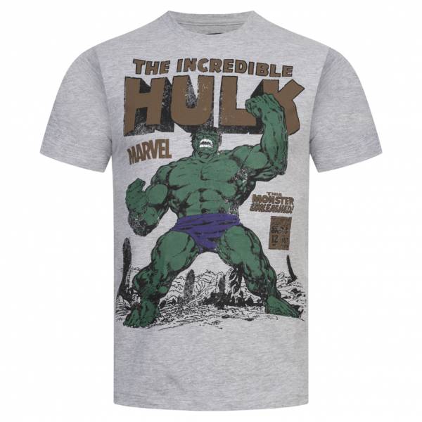 HULK Rage MERAVIGLIA Uomo T-shirt FBMTS310SPO