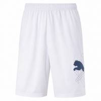 PUMA CAT Bermuda Kids Shorts 819495-05