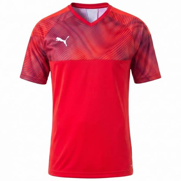 PUMA CUP Jersey Herren Trikot 704066-01