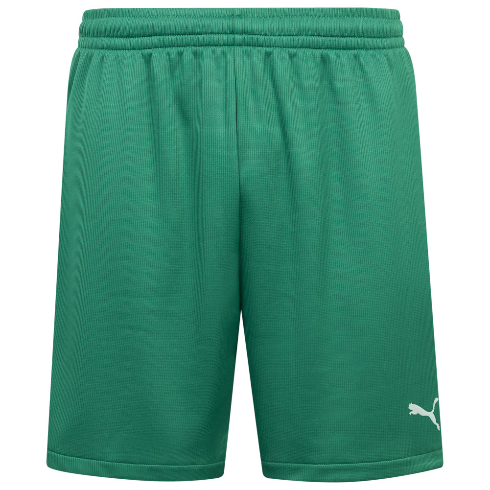 PUMA Vencida 2 Men Training Shorts 700790-15 | SportSpar.com