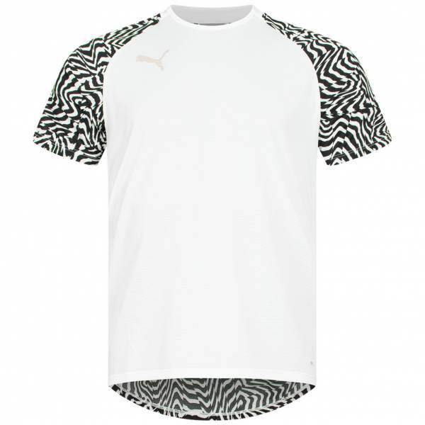 PUMA ftblNXT Graphic Herren Trainings Shirt 656556-02