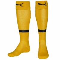 PUMA Team Medias de fútbol 700279-06