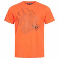BEAR MAX Kermode Hombre Camiseta BTG0001