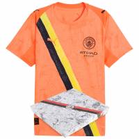 Manchester City F.C. PUMA Authentic Player Issue Men Jersey 781454-08