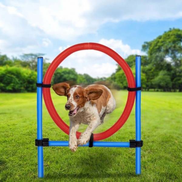 maxxpro Agility Spring Ring - Set Agility for dogs 47433