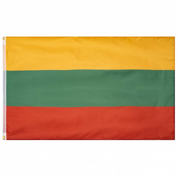 Lithuania Flag MUWO &quot;Nations Together&quot; 90 x 150 cm