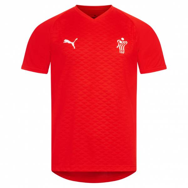 Denmark PUMA Handball Men Jersey 754913-01