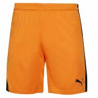 PUMA Power Cat 5.12 Heren Short 701266-08