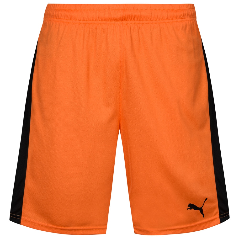 PUMA Pitch Sport shorts with inner brief 70207508