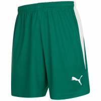 PUMA V-Kat Heren Short 700388-04