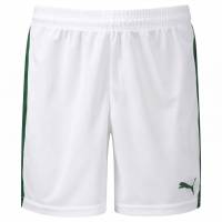PUMA Pitch Niño Pantalones cortos 702072-21