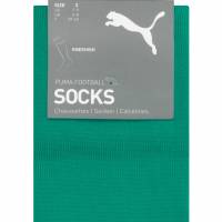 Przegląd: Borussia Mönchengladbach PUMA Getry piłkarskie 766007-02 Przegląd: Borussia Mönchengladbach PUMA Getry piłkarskie 766007-02