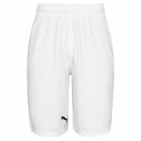 PUMA Herren Basketball Shorts 675003-01