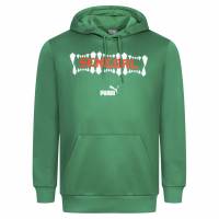 Senegal PUMA FtblCulture Sudadera con capucha Hombre Sudadera con capucha 772456-05