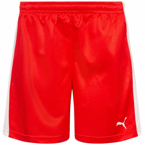 DHF Danemark PUMA Hommes Short de handball 750673-01