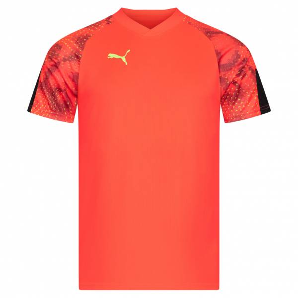 Puma individualFINAL World Cup Heren Shirt 658211-48