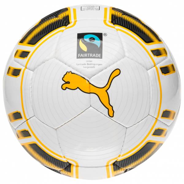 PUMA evoPOWER Fair Trade Fußball 082427-01