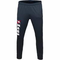 Zeus Easy Men Tracksuit Pants navy