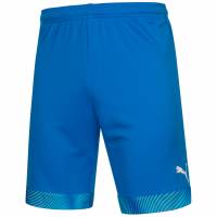 PUMA Cup Herren Shorts 704068-02