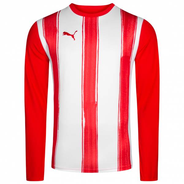 PUMA Striped Longsleeve Trainings Shirt 700770-01