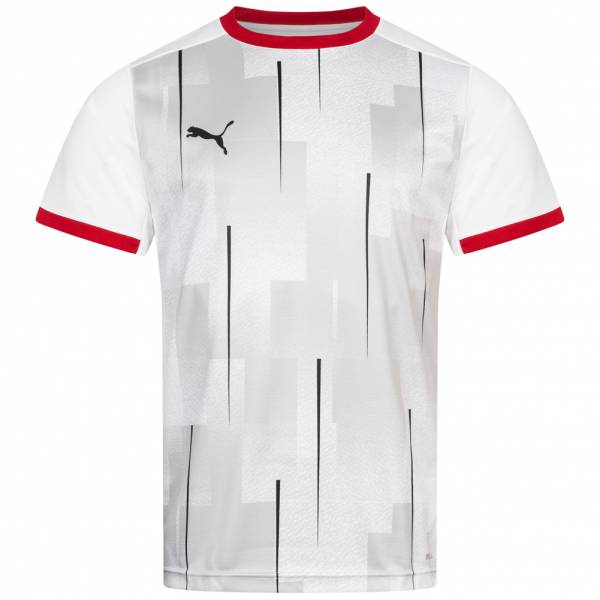 DHB Deutschland PUMA Herren Heim Trikot 75989801