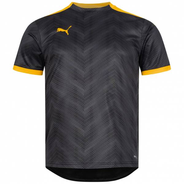 PUMA ftblNXT Graphic Shirt Herren Trikot 657007-03