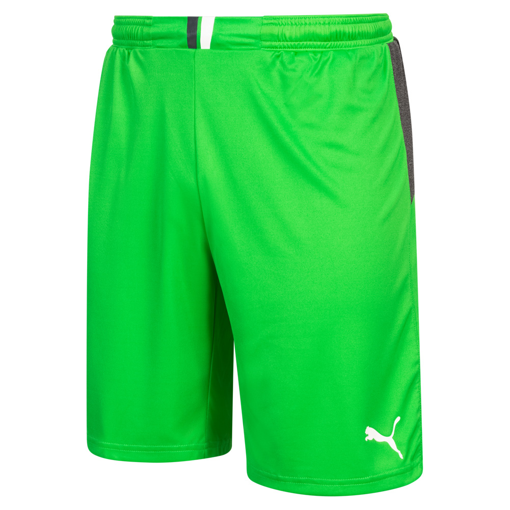 Puma best sale goalkeeper shorts